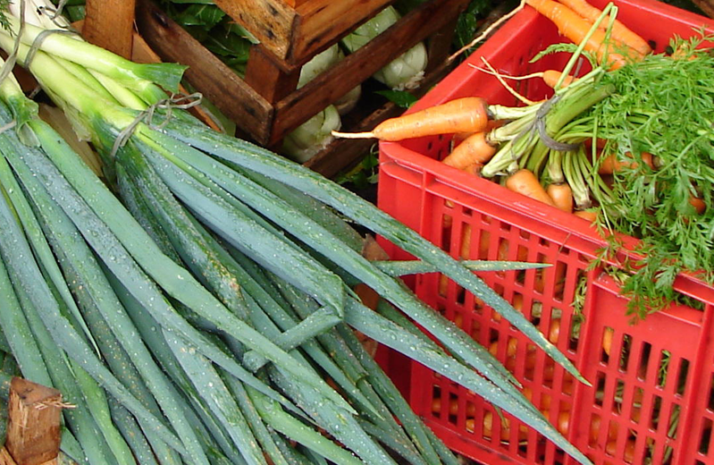 Logo do Curso Noções básicas de alimentação saudável e consumo de hortaliças