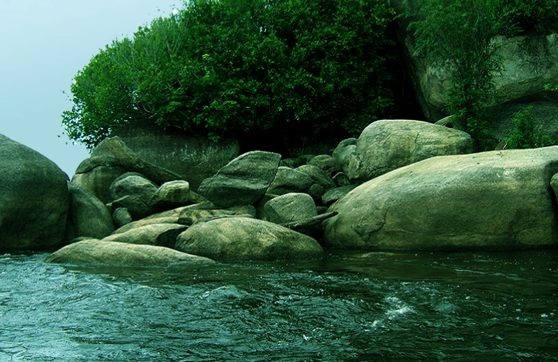 Imagem do curso: Cultural Values of Nature