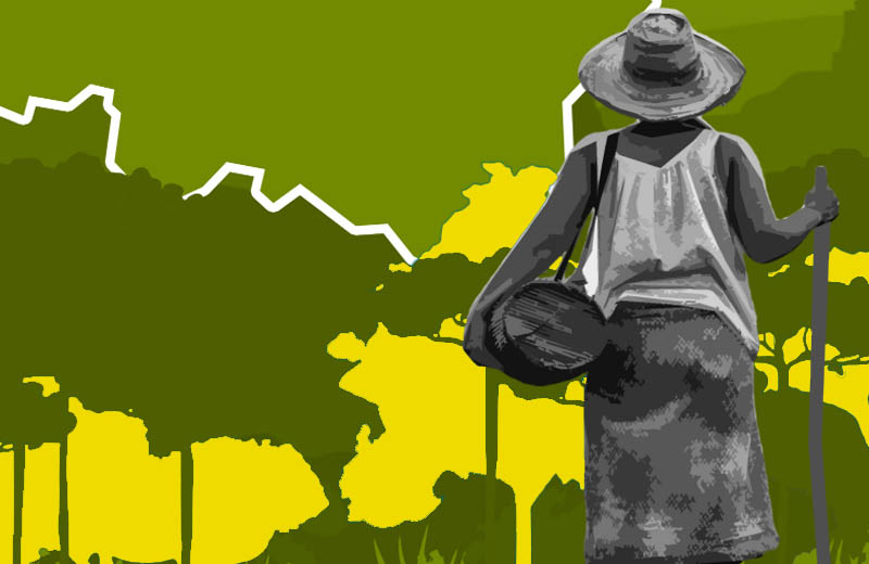 Logo do Curso Cidades e Mudanças do Clima: Práticas de adaptação à mudança do clima nos municípios brasileiros