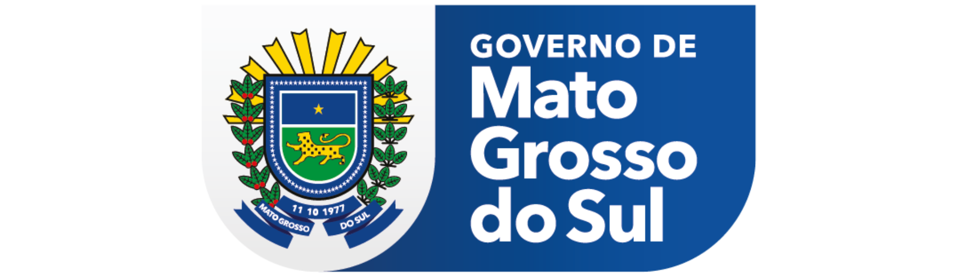 Fundação Escola de Governo de Mato Grosso do Sul